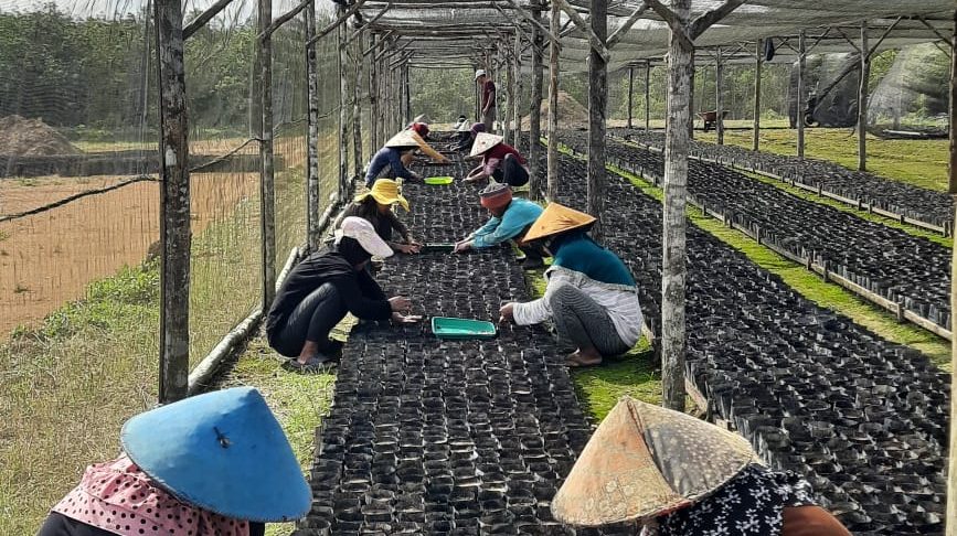 Tantangan dan Peluang Industri Kelapa Sawit di Era Modern